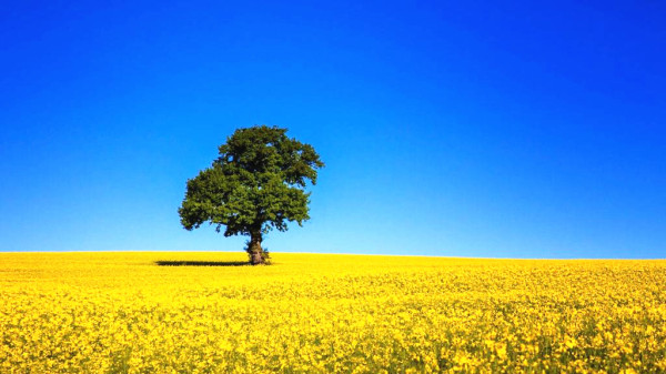 (經濟管理論文范文)工程造價在現代建筑經濟管理中探析 (經濟管理論文范文)工程造價在現代建筑經濟管理中探析