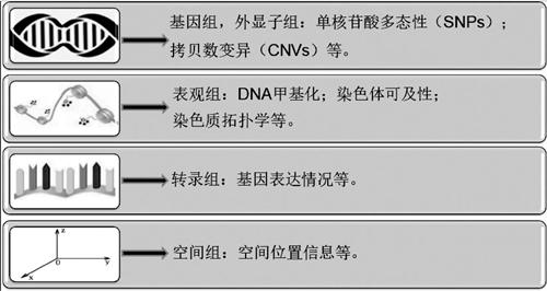 口腔醫(yī)學(xué)論文范文